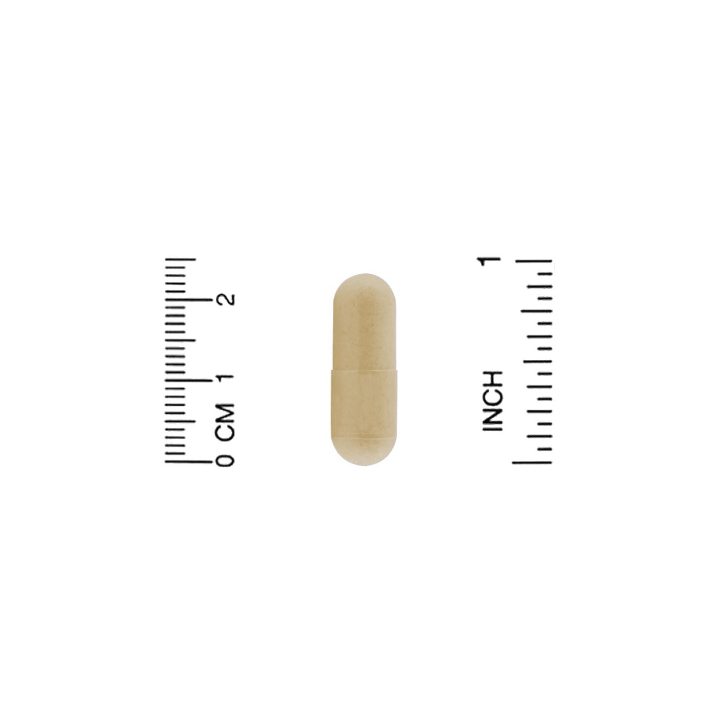 Organic Alfalfa Capsules